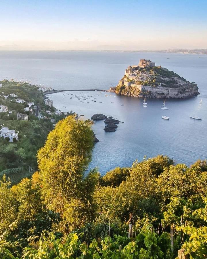 Апартаменти Casa Neval Lacco Ameno Lacco Ameno  Екстер'єр фото